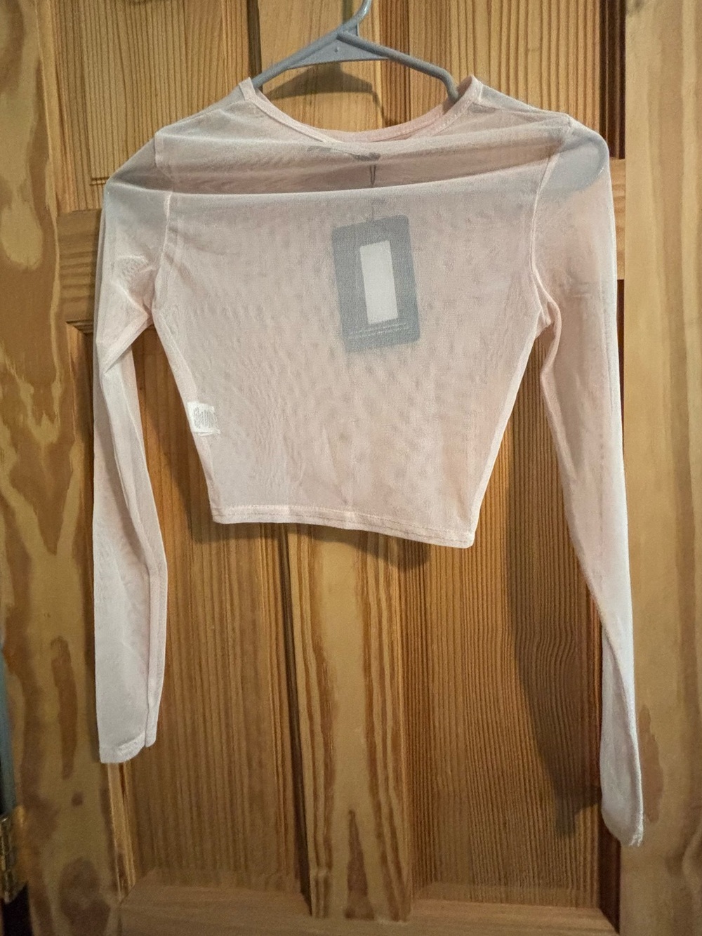 PrettyLittleThing Pale Pink Sheer Long Sleeve Crop Top
